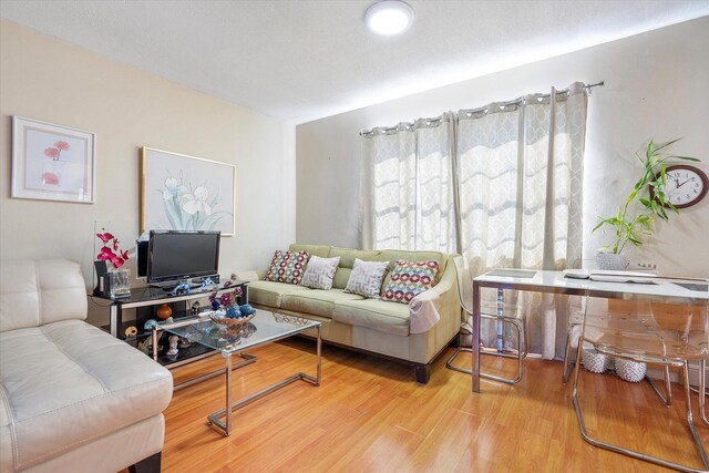 living room with light hardwood / wood-style flooring