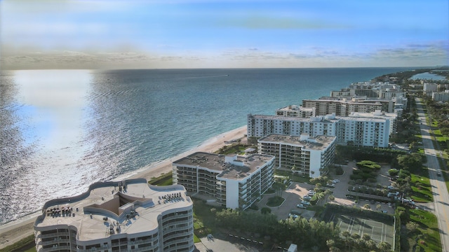 aerial view with a water view and a view of the beach