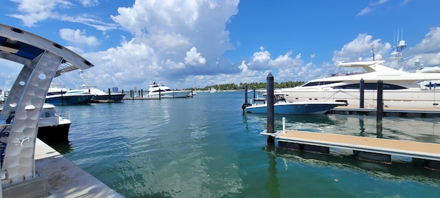 dock area featuring a water view