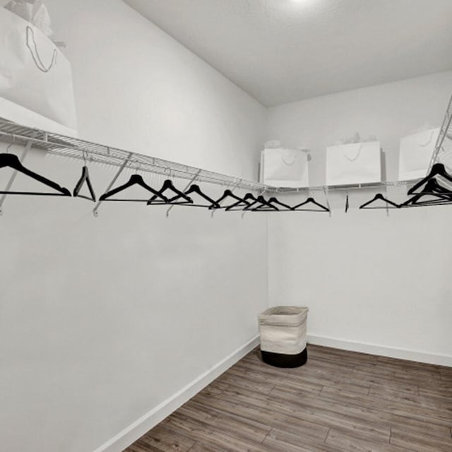 spacious closet featuring hardwood / wood-style flooring