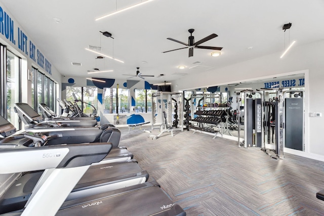 workout area with carpet and ceiling fan