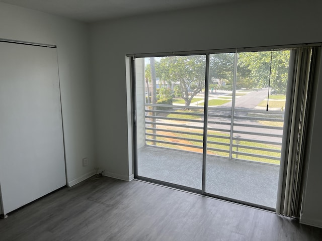 empty room with wood-type flooring