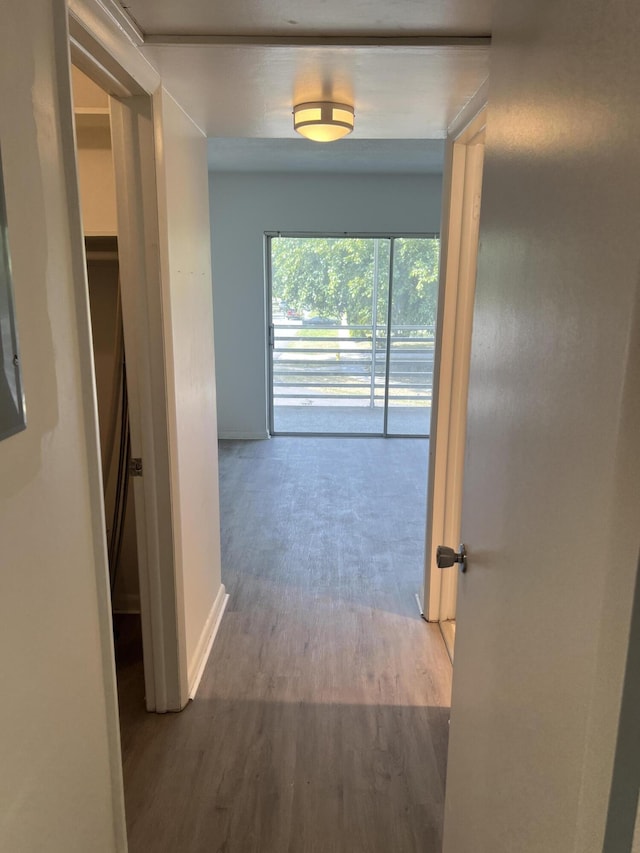 corridor featuring hardwood / wood-style flooring