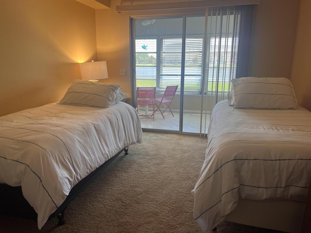 bedroom with carpet floors and access to outside