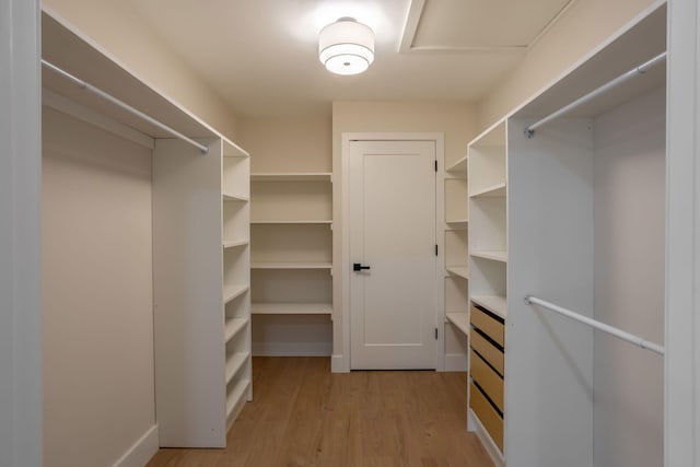 walk in closet with light hardwood / wood-style floors