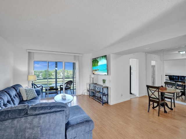 living room with a textured ceiling and hardwood / wood-style flooring