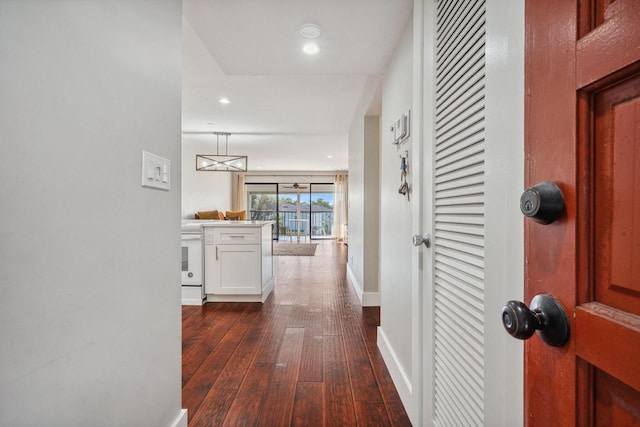 hall featuring dark wood-type flooring