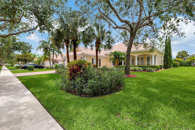 view of front of home featuring a front yard