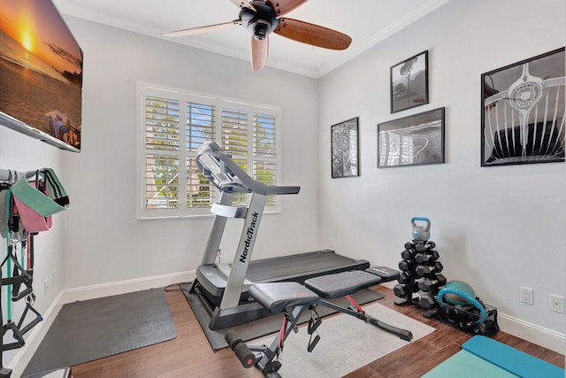 workout room with ceiling fan, crown molding, and wood-type flooring