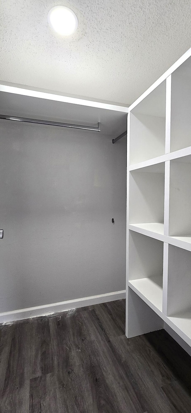 walk in closet featuring dark hardwood / wood-style floors