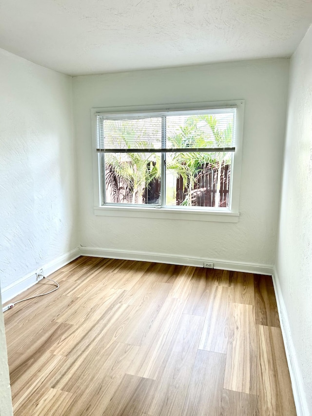 empty room featuring light wood-type flooring and a wealth of natural light