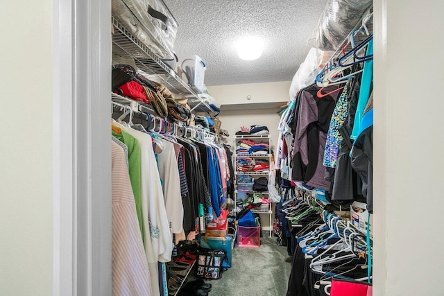 spacious closet featuring carpet