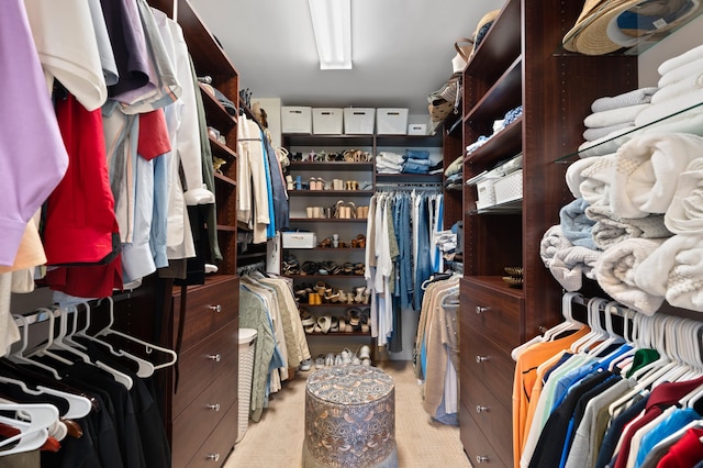 view of walk in closet