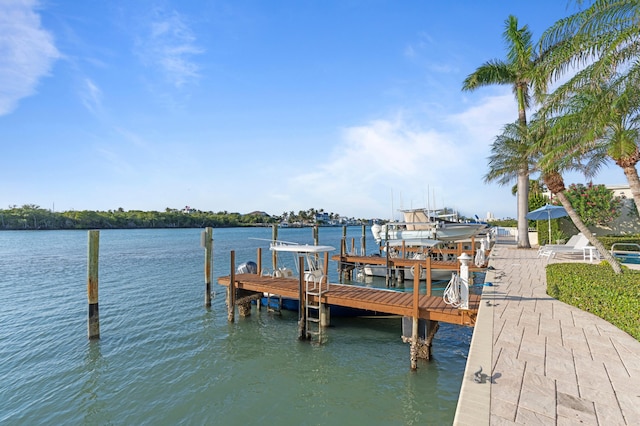 dock area with a water view