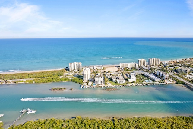 drone / aerial view with a water view and a view of the beach