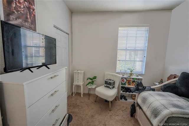 bedroom with light colored carpet