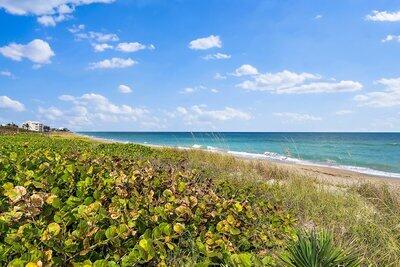 property view of water featuring a beach view