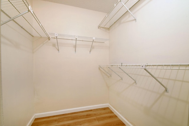 spacious closet with wood-type flooring