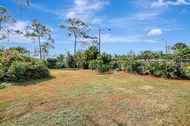 view of yard