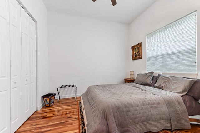 bedroom featuring ceiling fan, a closet, and wood-type flooring