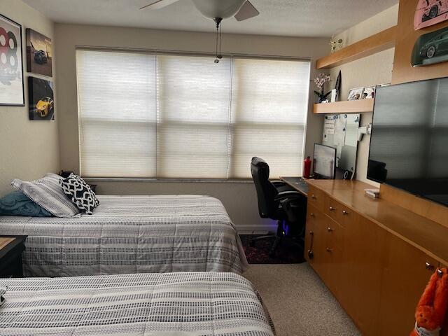 carpeted bedroom with multiple windows and ceiling fan