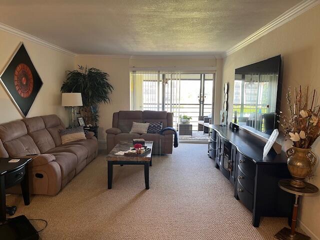 living room featuring crown molding, light colored carpet, and a textured ceiling