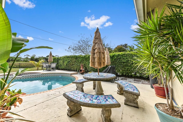 view of pool with a patio