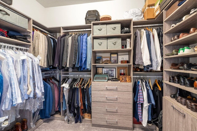 spacious closet with carpet flooring