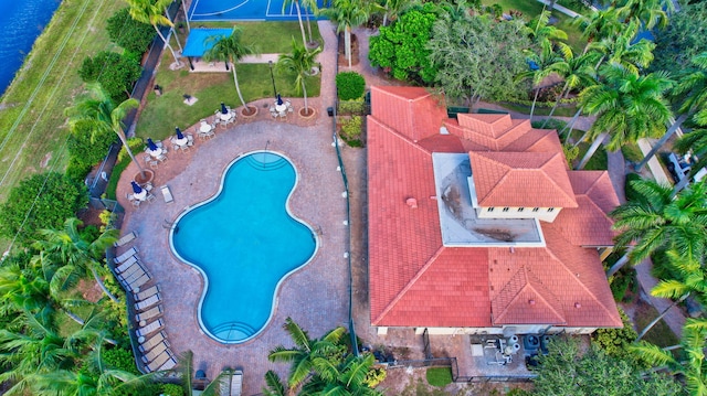 view of swimming pool