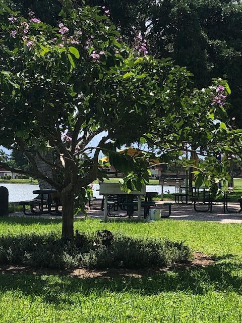 view of community with a lawn