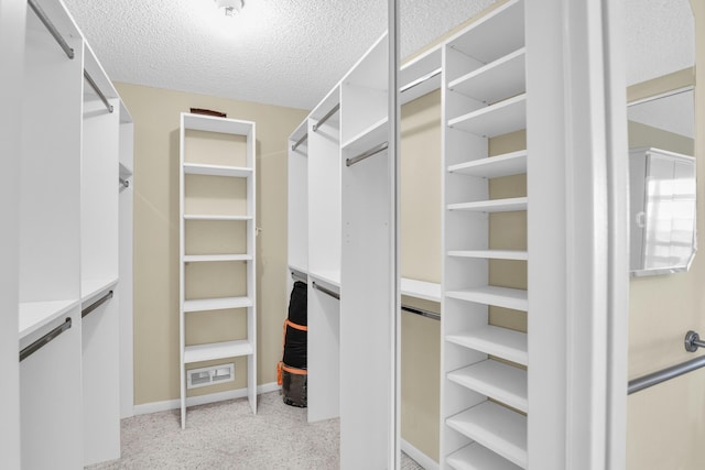 walk in closet with light colored carpet