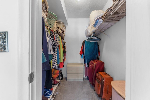 walk in closet with light carpet