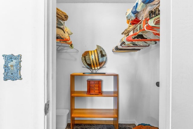 spacious closet with carpet floors