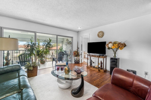 living room with hardwood / wood-style floors and a textured ceiling