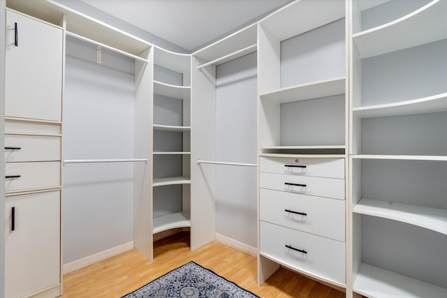 walk in closet with light wood-type flooring