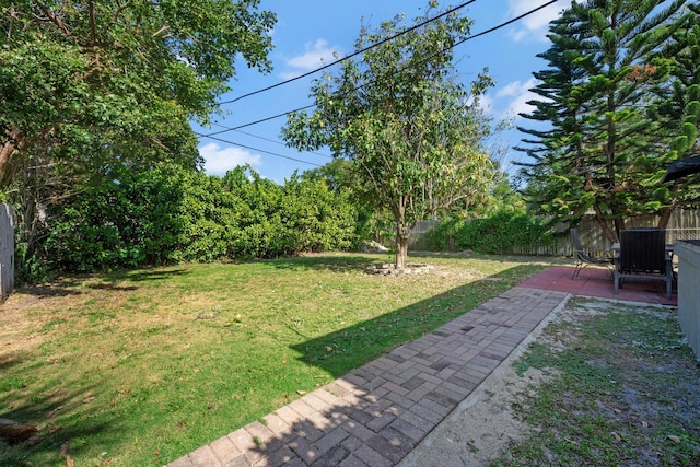 view of yard featuring a patio