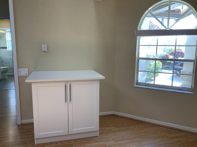 room details with hardwood / wood-style floors