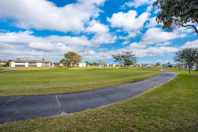 view of community with a lawn