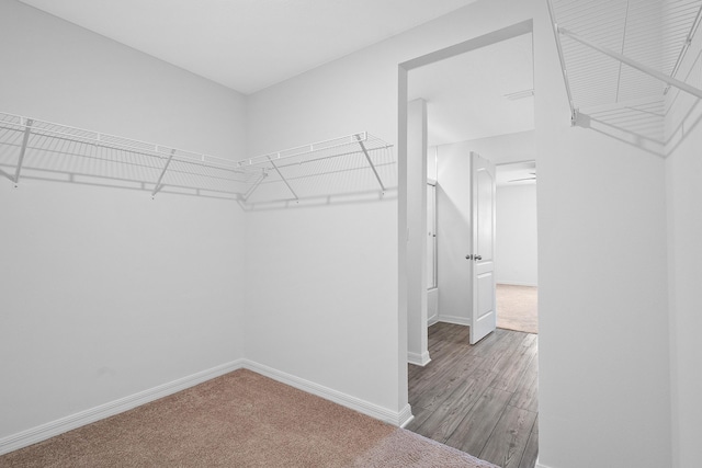 walk in closet with wood-type flooring