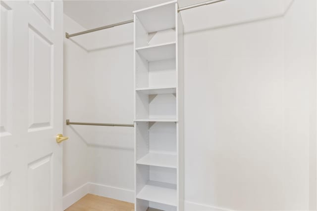 spacious closet featuring light hardwood / wood-style flooring