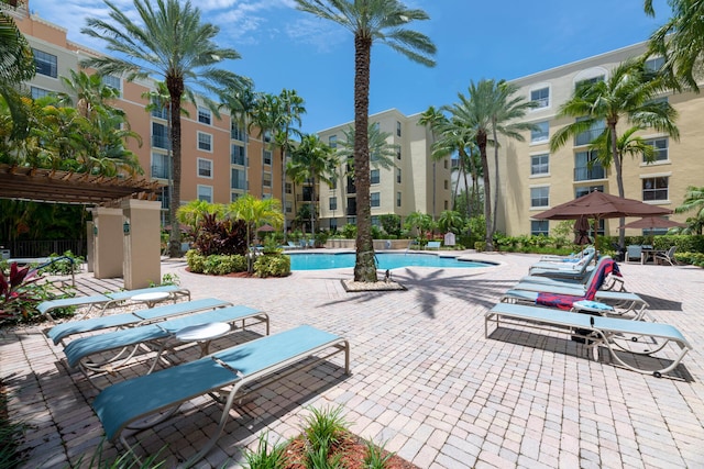 view of swimming pool featuring a patio area and a pergola