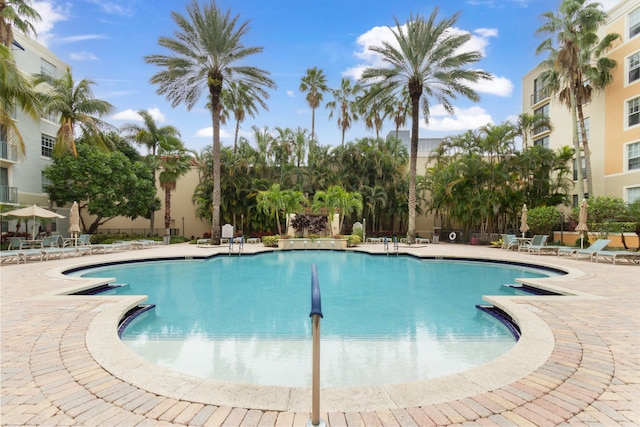 view of swimming pool with a patio area