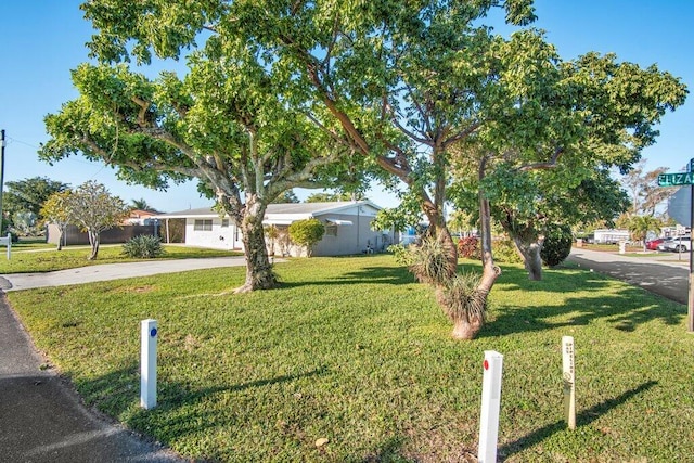 view of front of home with a front yard