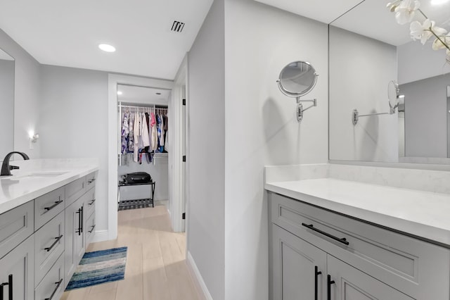 bathroom with wood-type flooring and vanity