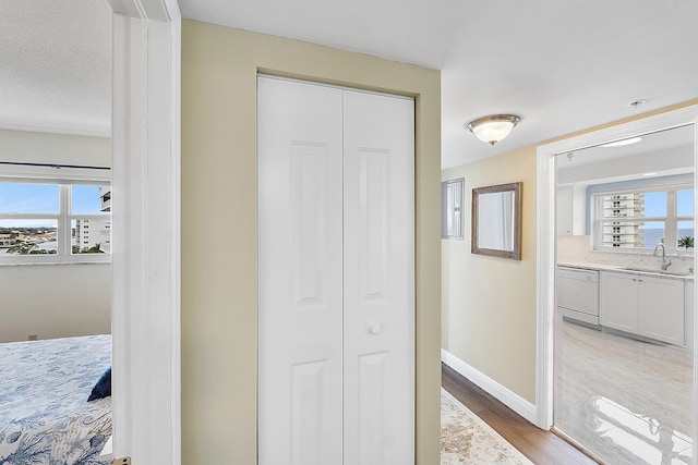 bathroom featuring vanity, hardwood / wood-style flooring, and a healthy amount of sunlight