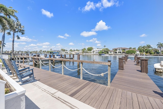 dock area with a water view