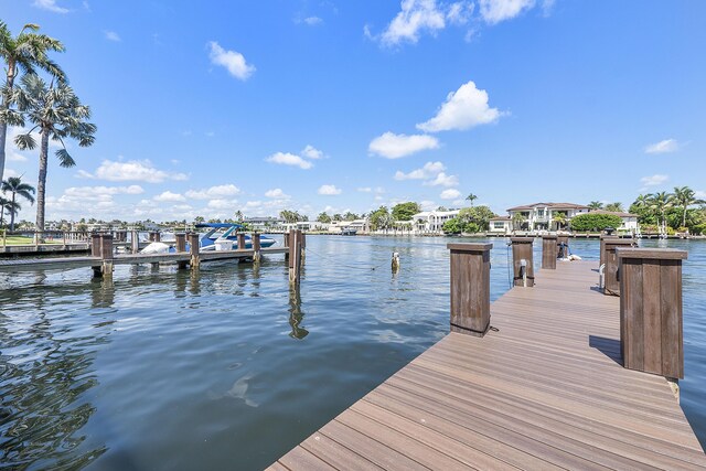 dock area with a water view