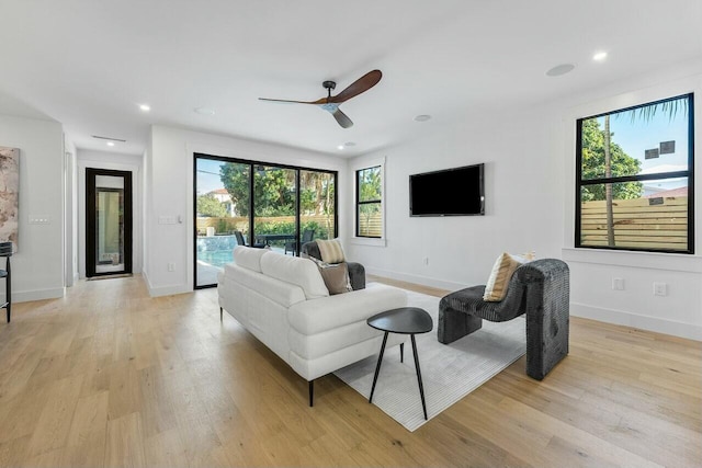 living room with ceiling fan and light hardwood / wood-style floors