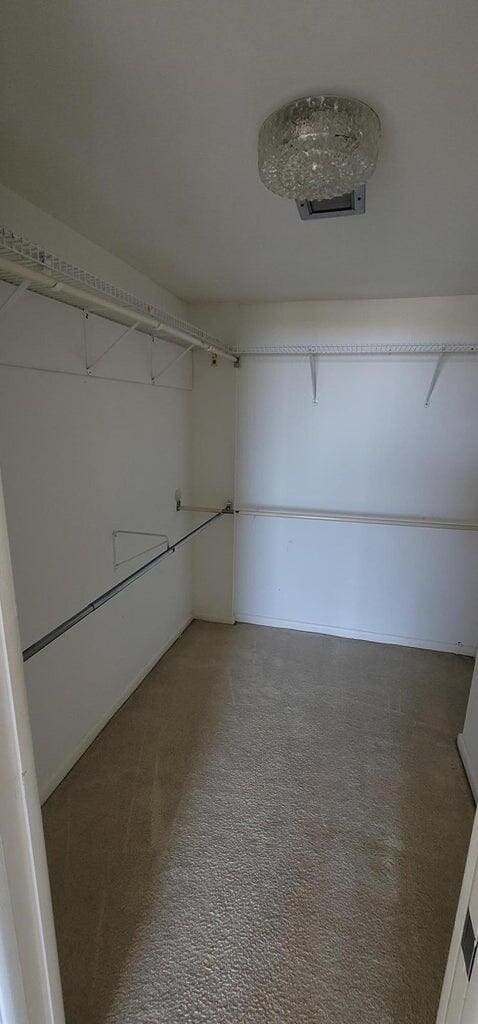 2425 Presidential Way Unit 402, West Palm Beach, FL 33401 - walk in closet with light colored carpet