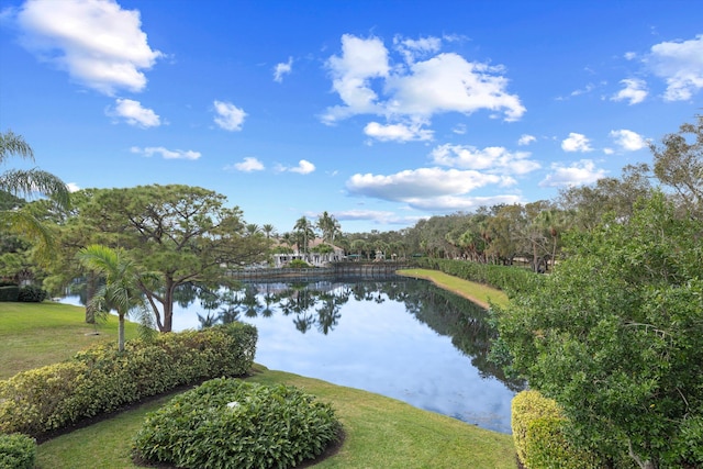 view of water feature